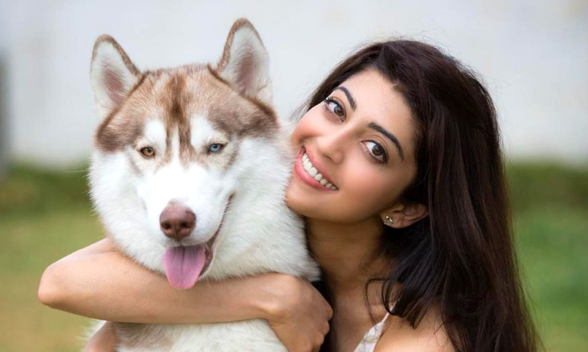 ‘Hungama 2’ actress Pranitha Subhash’s ‘partner’ in quarantine
