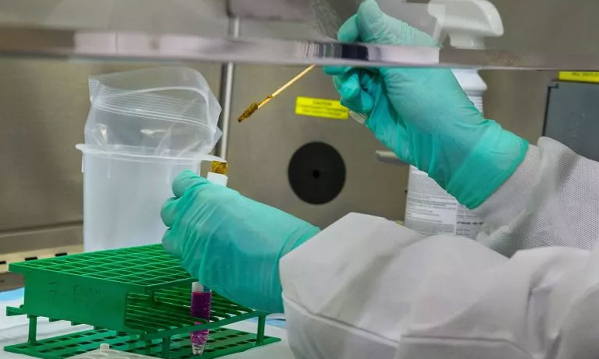 The Ministry Of Health Approves Use Of Hydroxychloroquine With Azithromycin For COVID-19 Late On March 31.