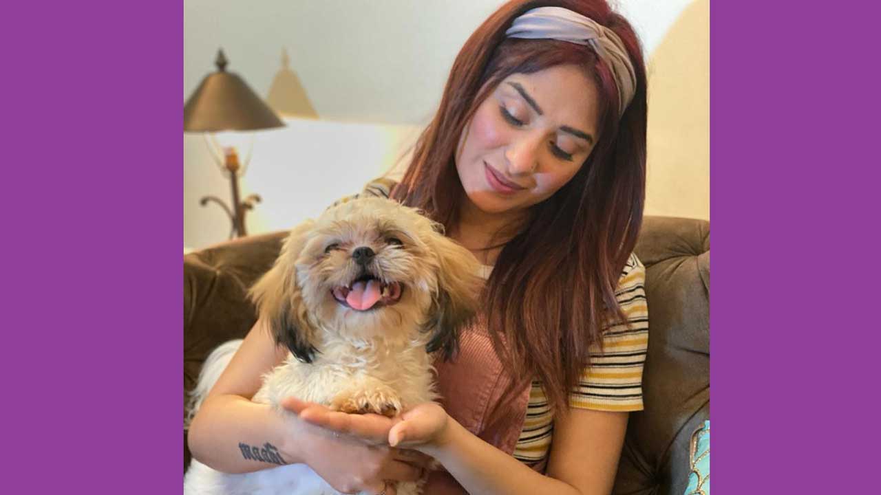 Mahira Sharma’s motherly instincts awakens, asks help from Paras