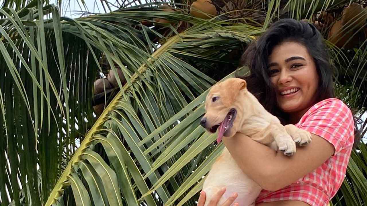 ‘Puppy Love’ of Shalini Pandey