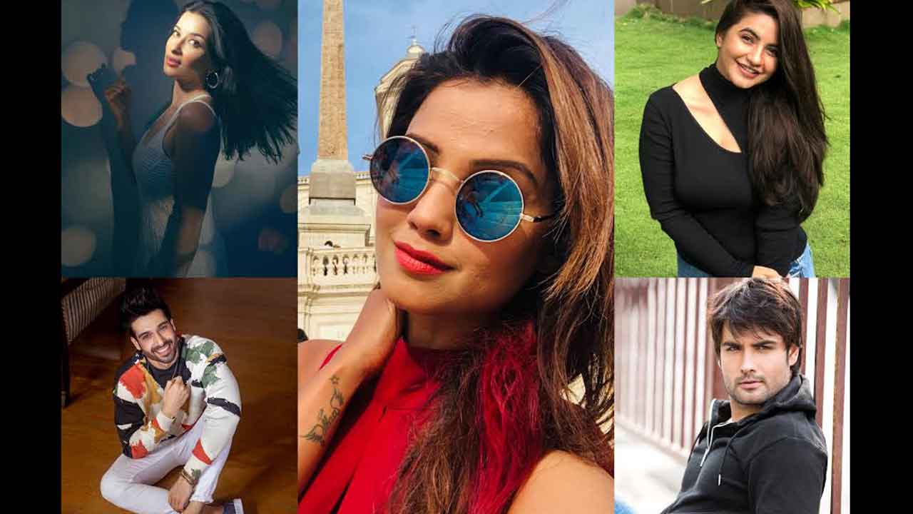 Meera Deosthale ,Adaa Khan ,Vivian Dsena,Nyra Banerjee , Vijayendra Kumeria