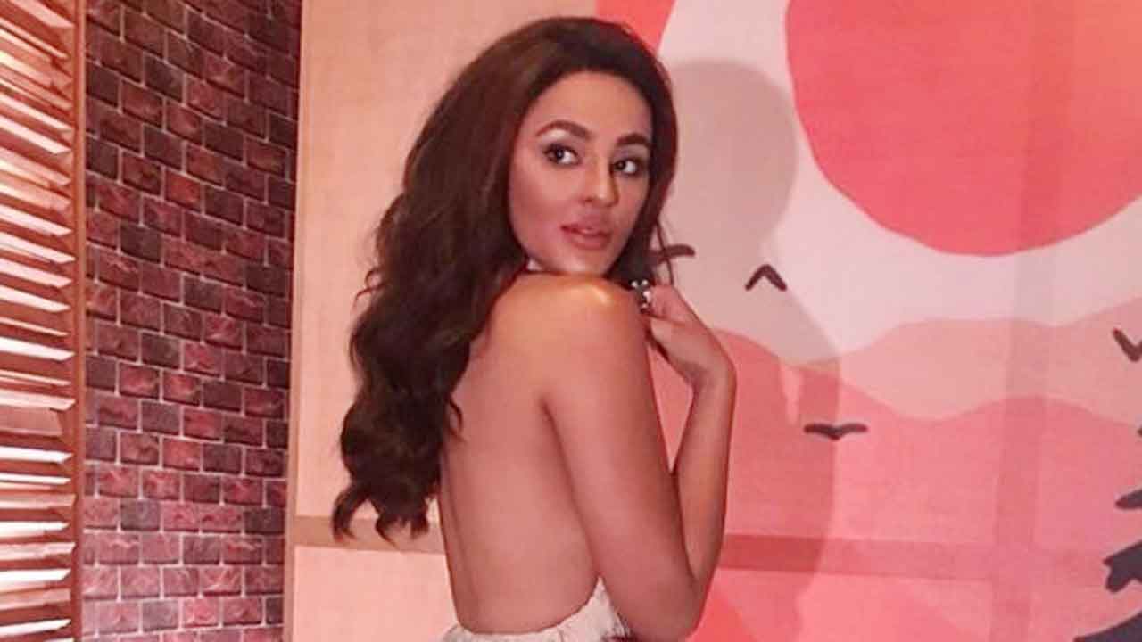 Seerat Kapoor shows how to look sexy in a backless gown!