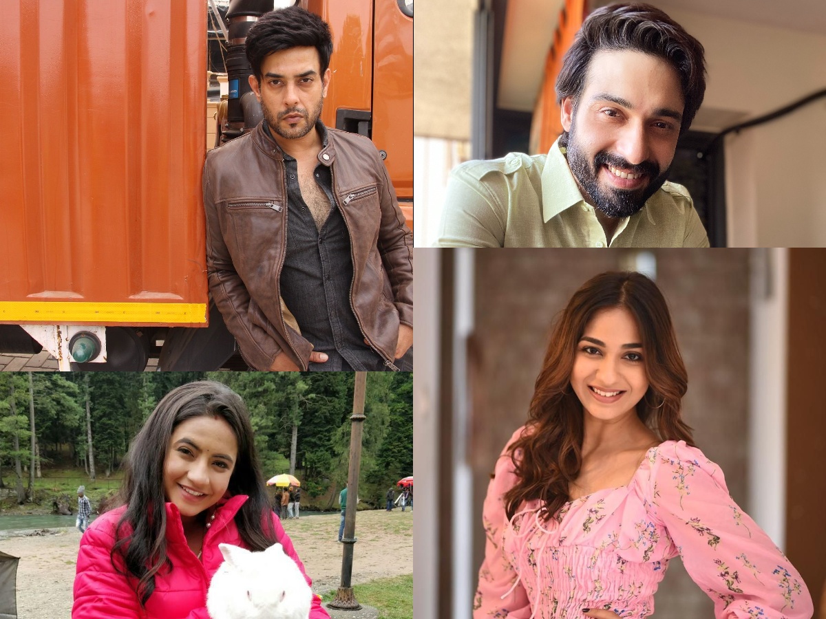 ‘These’ Tele-Celebrities talk against cruelty to animals!