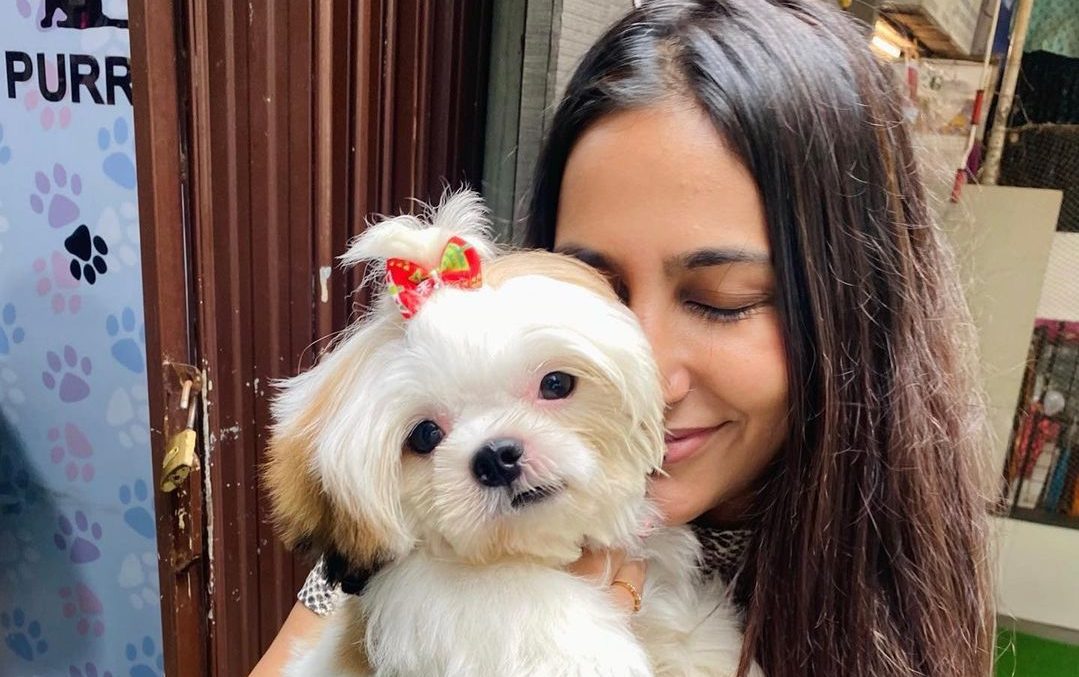 #SnehaNamanandi asks people to think about how pets and strays get badly affected by crackers!