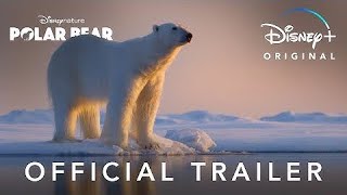 Disneynature’s latest documentary film Polar Bear!
