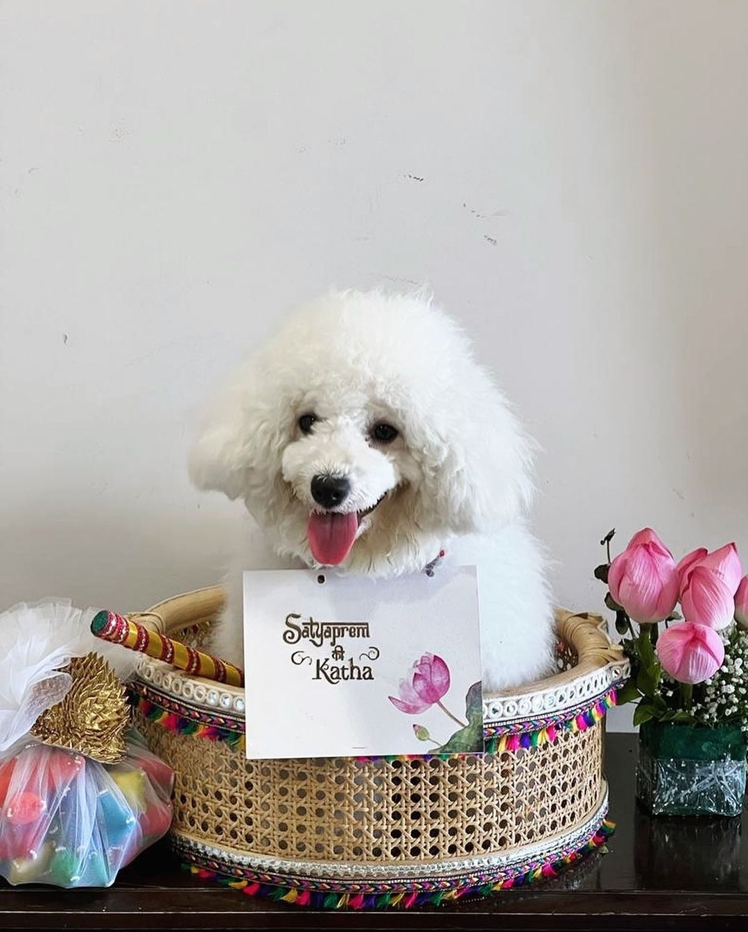 tempfileforshare_20220904-175716-jpg