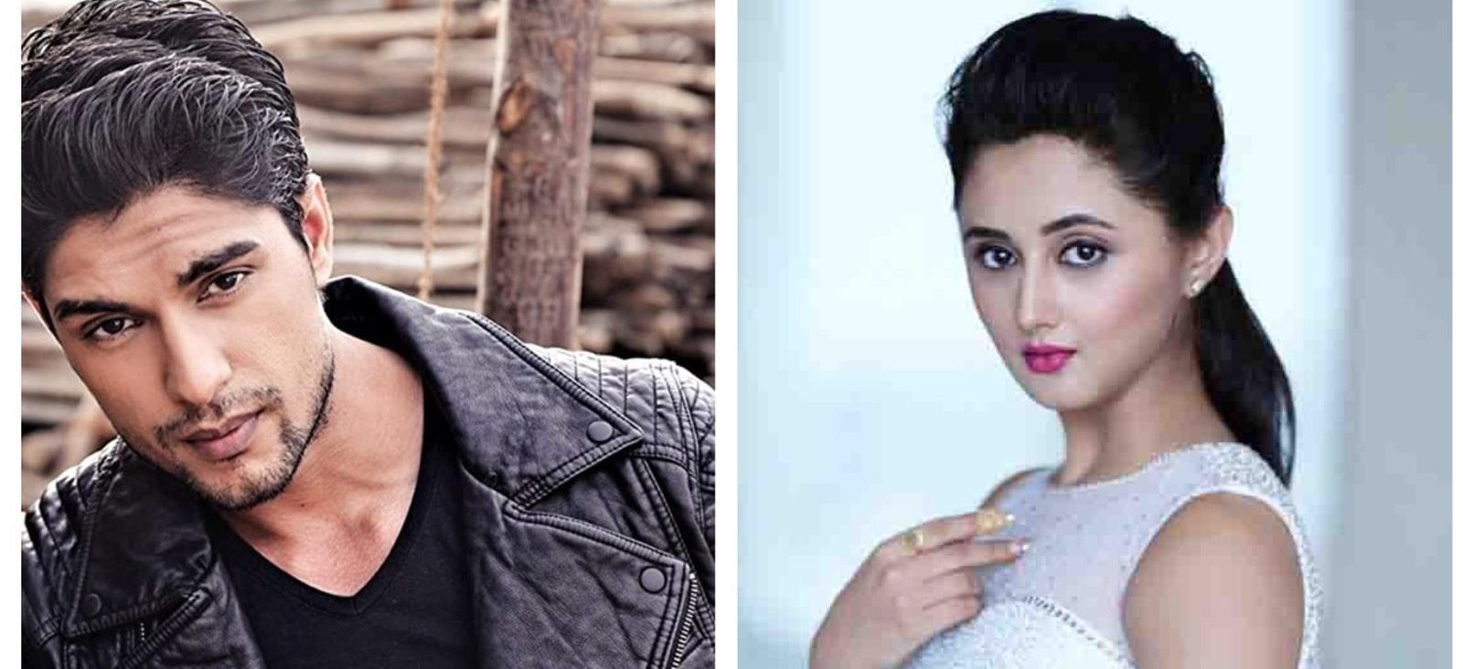 BB 13 contestant Rashami Desai praises BB 16 contestant Ankit Gupta!