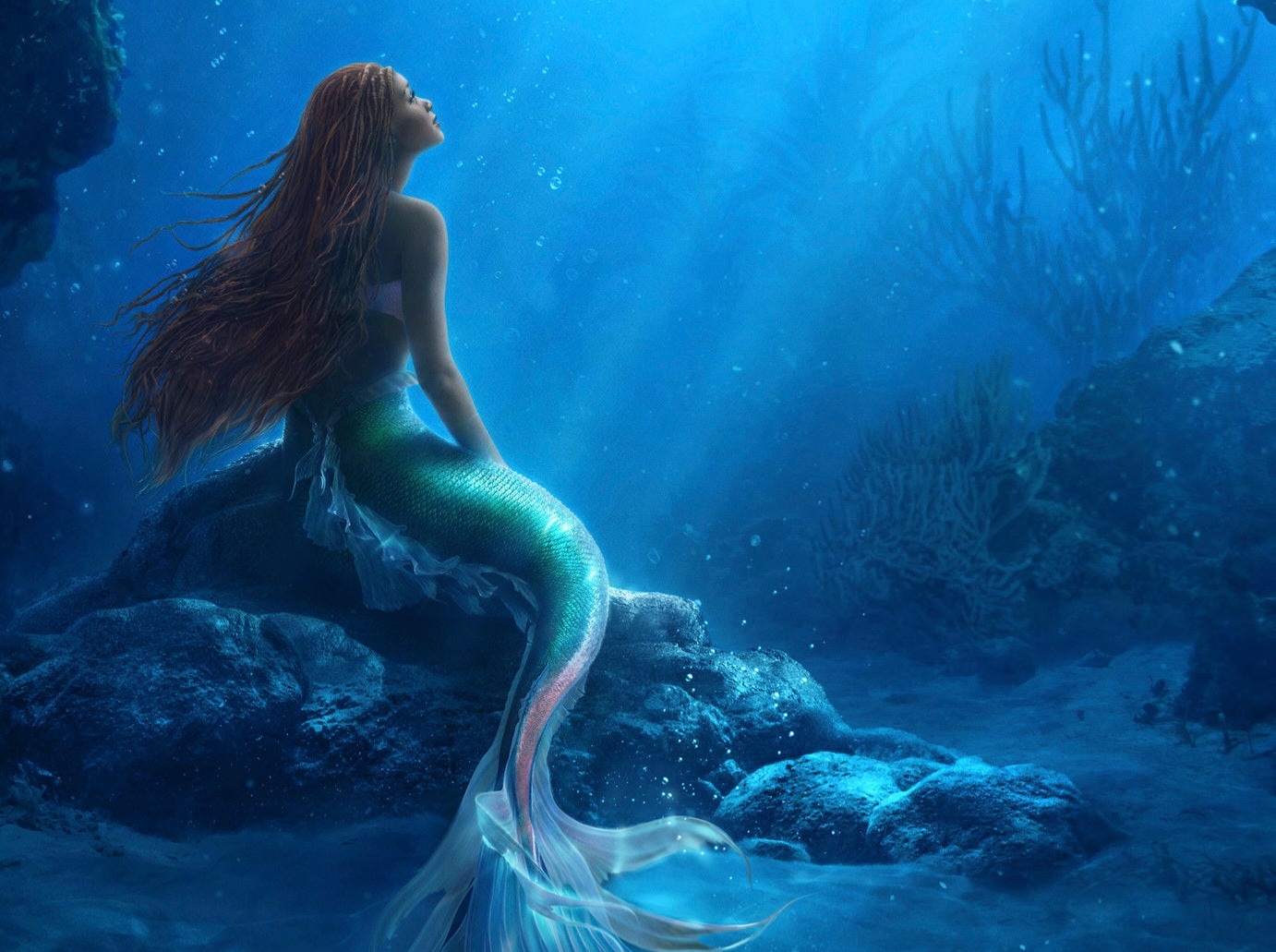 Reasons to dive into The Little Mermaid’s magical oceanic adventure that captivates hearts!