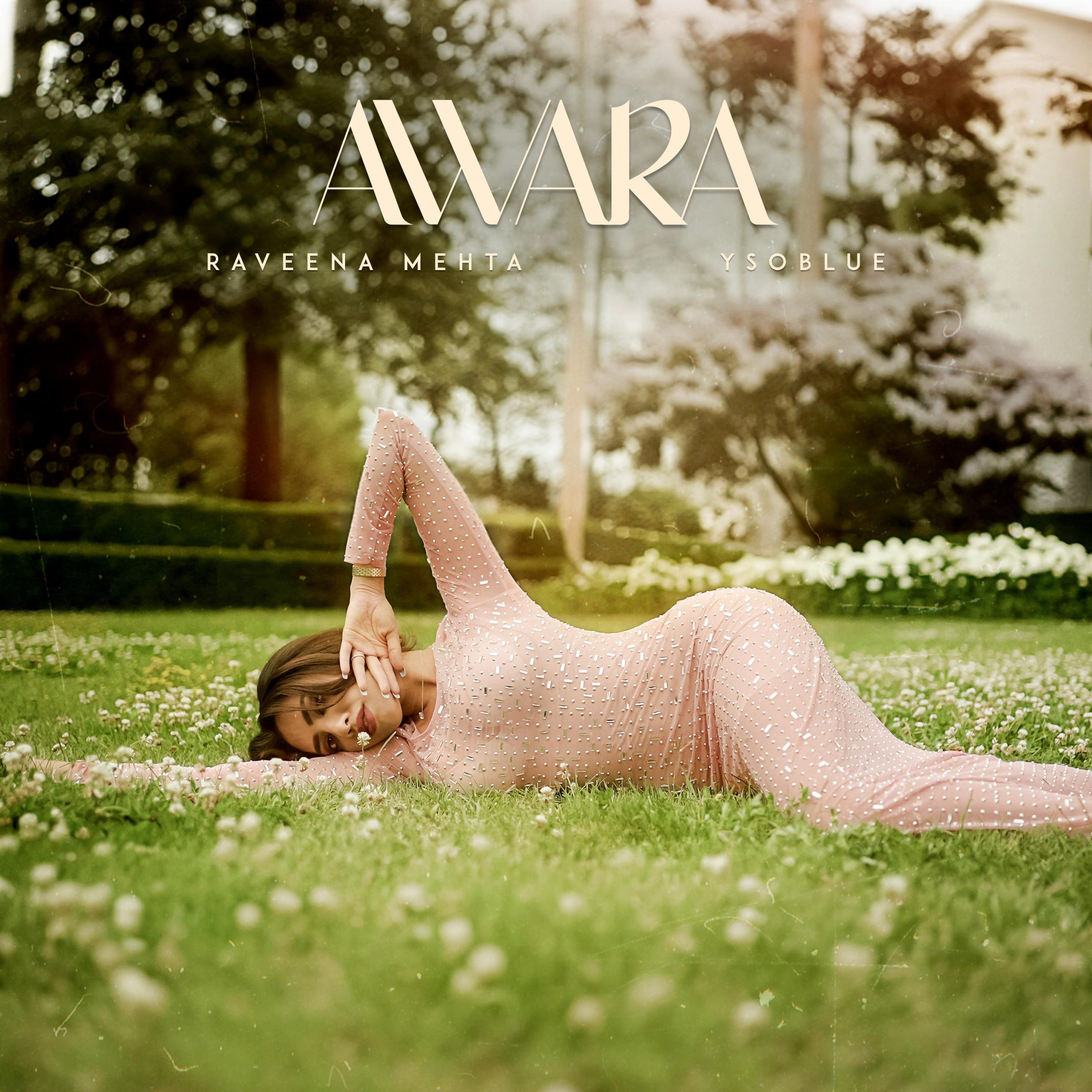 img-20231117-wa0033-scaled-jpg