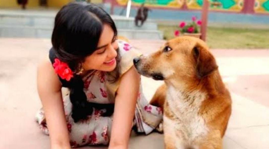 On Valentine’s Day, Adah Sharma teams up with animal hospital TOLFA!