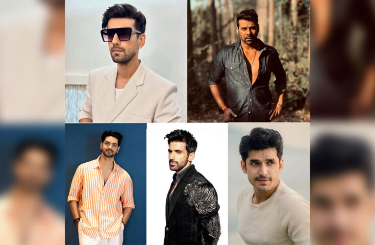 With Their Brilliant and Heartfelt Performances, ‘These’ TV Actors Stole Viewer’s Heart in 2024!