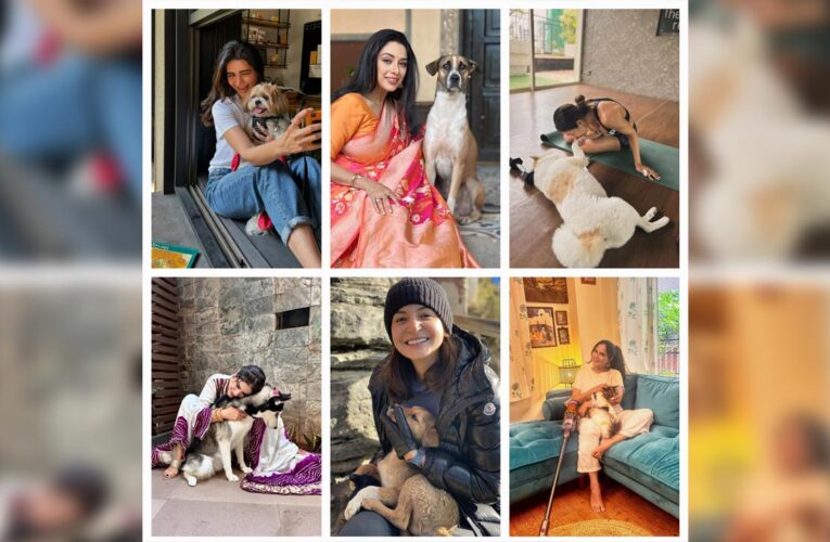 Actresses Who Have Deep Love and Compassion for Animals!