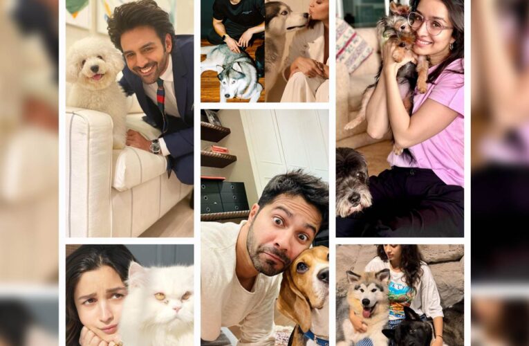 Celebrating Pet Day with Indian Celebrities and Their Adorable Pets!