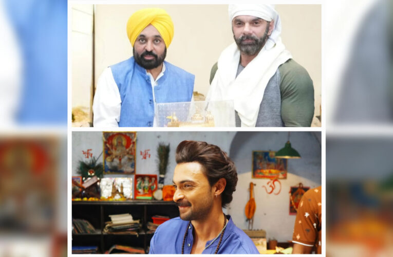 Aayush Sharma Roped in to Play Parallel Lead in Sohail Khan’s ‘My Punjabi Nikaah’!