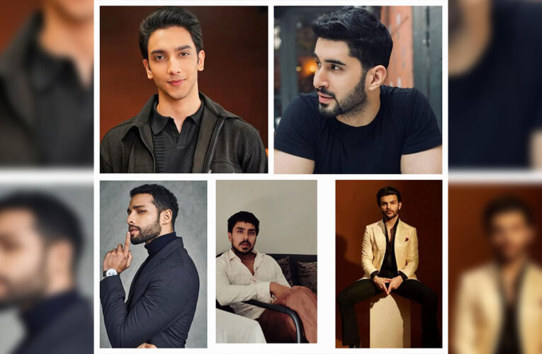 The Rise of New-Age Actors: Vedang, Veer, Adarsh, Lakshya and Siddhant!