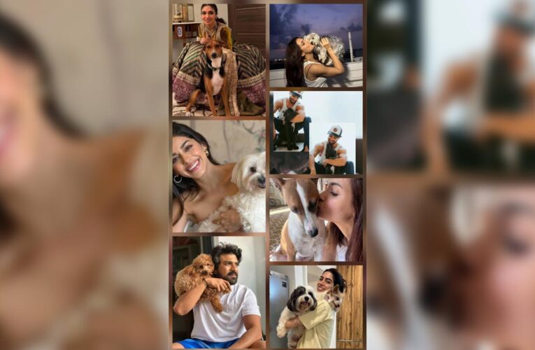 Actors Who Are Dog Parents Celebrate International Dog Day!