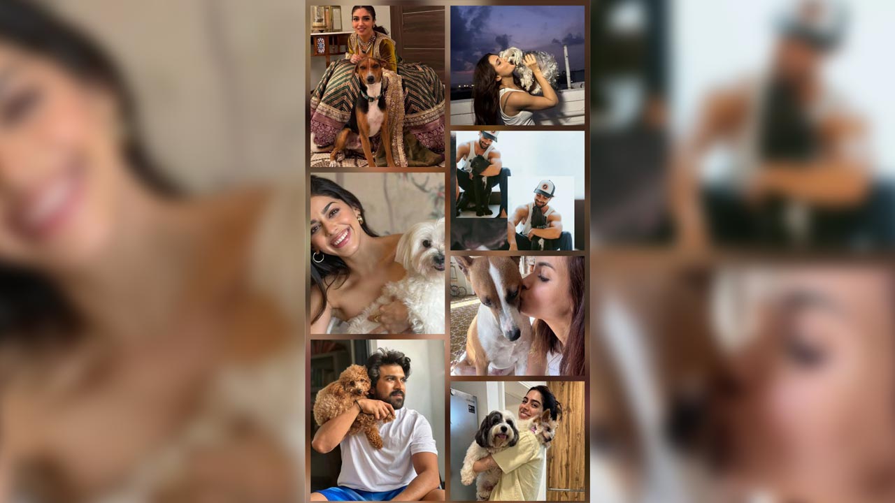 International Dog Day