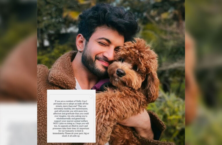 Over Supreme Court’s Order on Community Dogs, Rohit Saraf Requests Citizens to Adopt Indies!