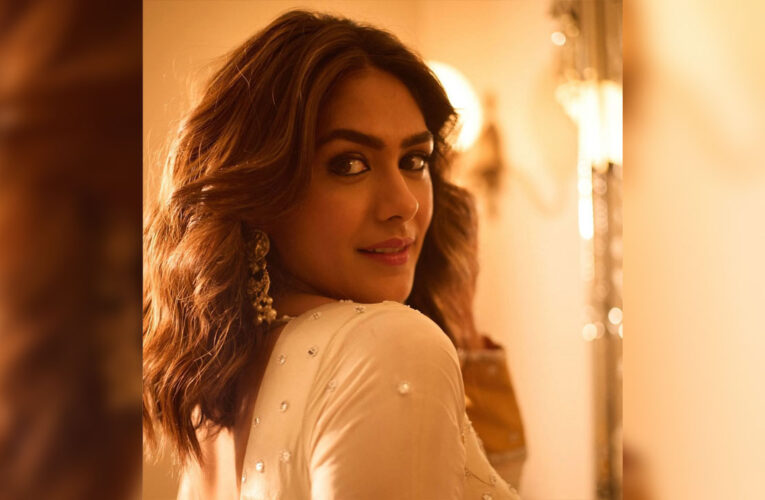 Mrunal Thakur feels that a single misguided view from the audience can risk an actor’s public image!