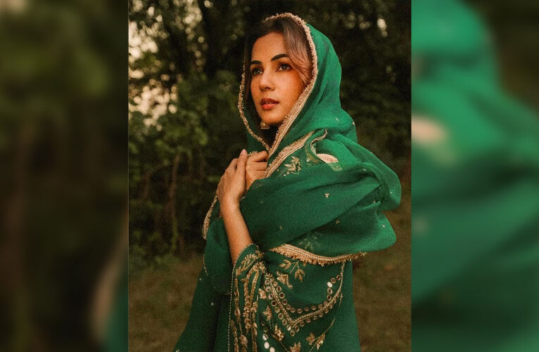 Sonal Chauhan Joins the Cast of ‘Mirzapur: The Film’!