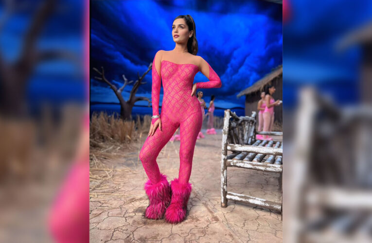 Miss World Manushi Chhillar’s Mature Approach Towards Troll Wins Hearts!