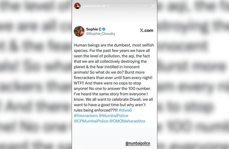 Sophie Choudry Expresses Concern Over Pollution and Noise During Diwali Celebrations in Mumbai!