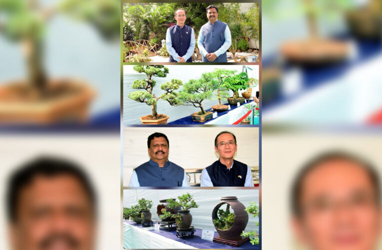 Consulate-General of Japan Organise Bonsai & Origami Art Exhibition at Jijamata Udyan, Mumbai!