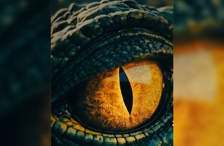 Adarsh Gourav and Shanaya Kapoor’s Tu Yaa Main Motion Poster Out Now!