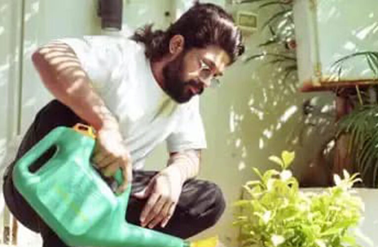 Allu Arjun