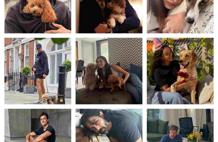 International Dog Day