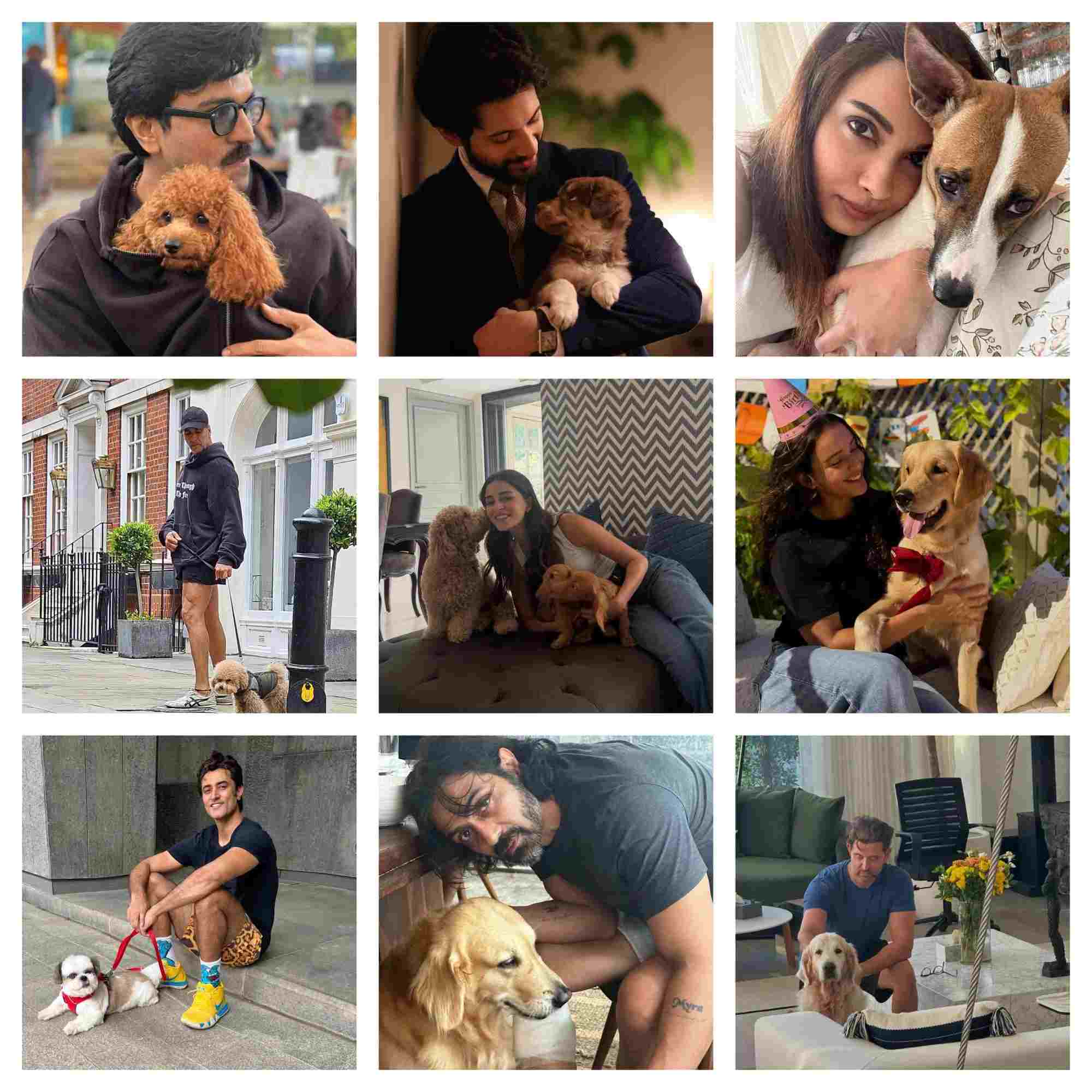 International Dog Day